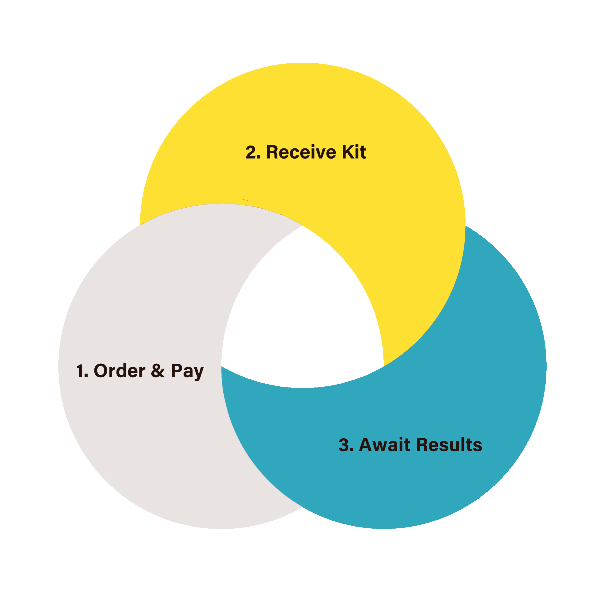 order-process-dna-mydnadirect